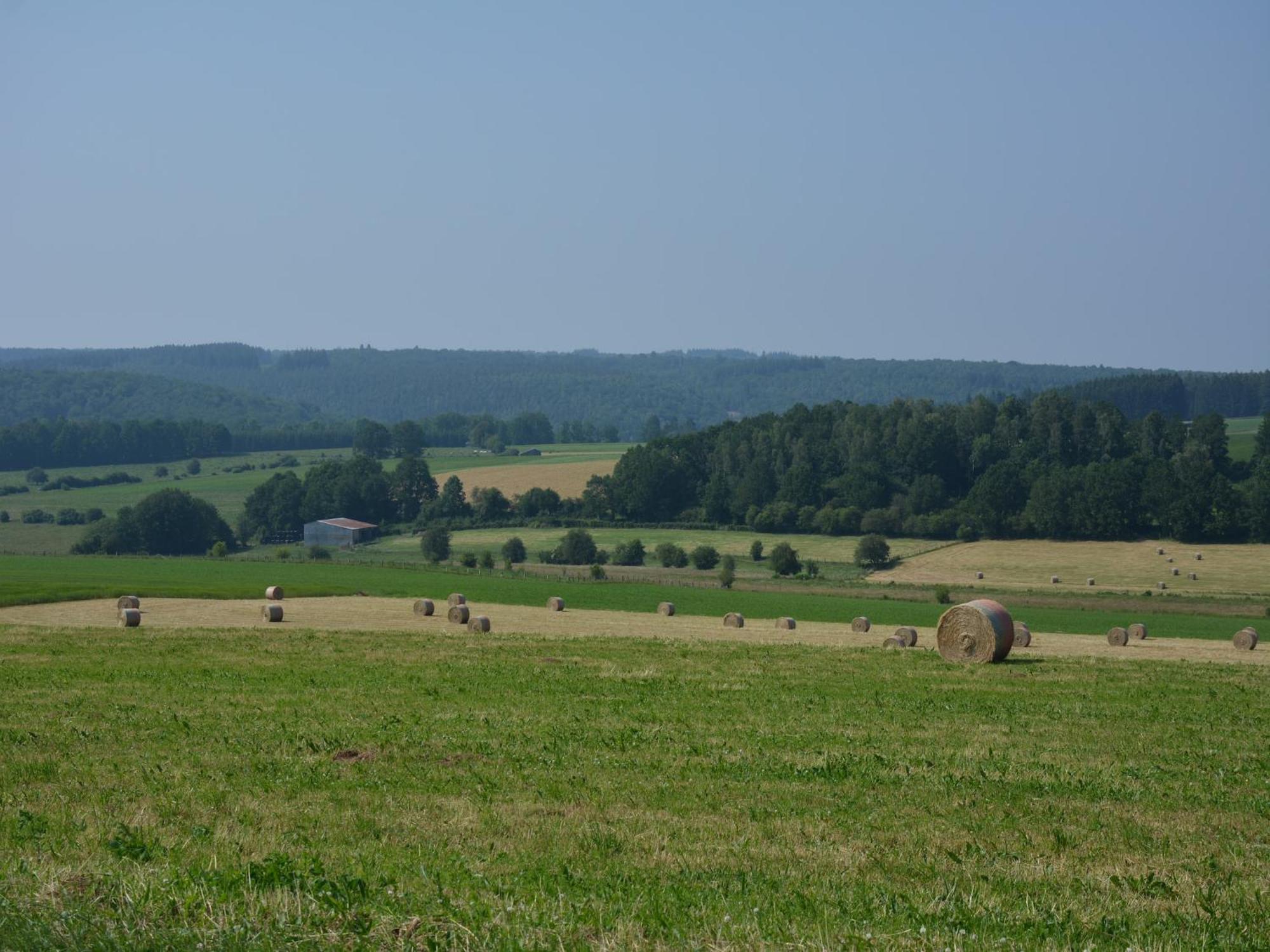 Lovely Holiday Home In Daverdisse With Terrace Eksteriør billede